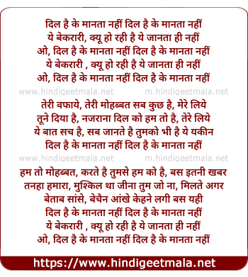 lyrics of song Dil Hai Ke Manta Nahin (Duet)