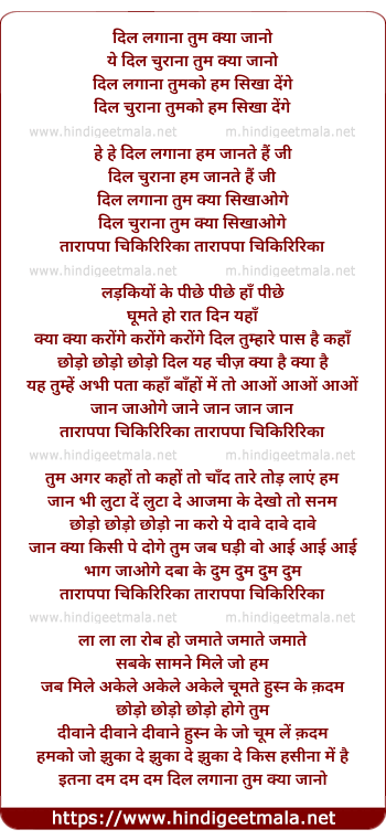 lyrics of song Dil Lagana Tum Kya Jano