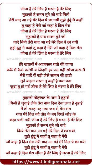 lyrics of song Jina Hain Tere Liye, Marana Hain Tere Liye