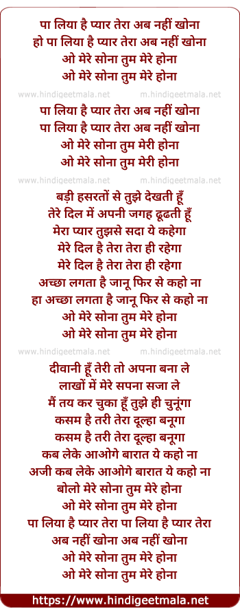 lyrics of song Pa Liya Hain Pyar Tera