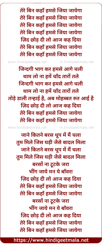 lyrics of song Tere Bin Kahaan Hamase Jiya Jaayega