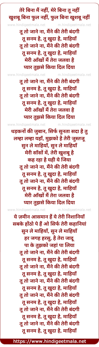 lyrics of song Tere Bina Main Nahi, Tu To Jaane Na, Maine Ki Teri Bandagi