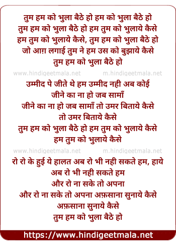 lyrics of song Tum Ham Ko Bhula Baithe Ho