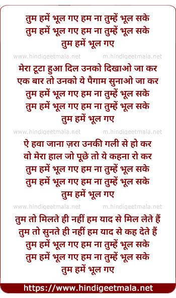 lyrics of song Tum Hame Bhul Gaye