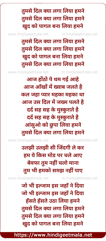 lyrics of song Tumse Dil Kya Laga Liya Hamne