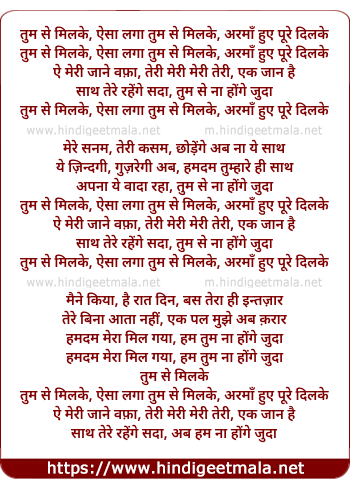 lyrics of song Tumse Milke Aisa Laga Tumse Milke