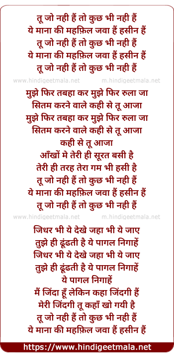 lyrics of song Tu Jo Nahin