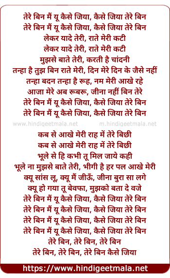 lyrics of song Tere Bin Main Yu
