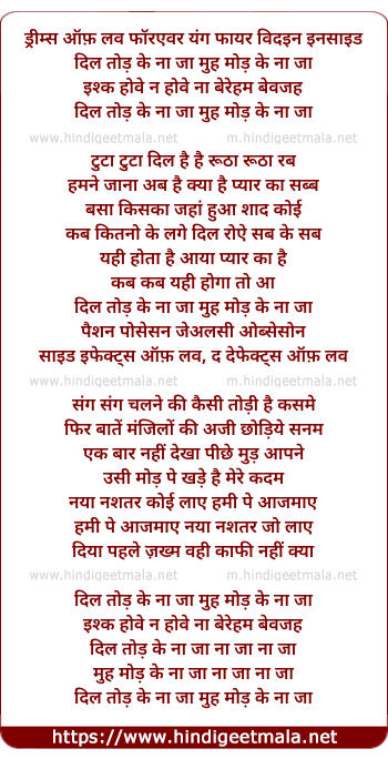 lyrics of song Dil Tod Ke Na Ja