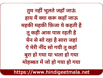 lyrics of song Tum Nahi Bhulte Jahan Jayoon, Haye Mai Kya Karu