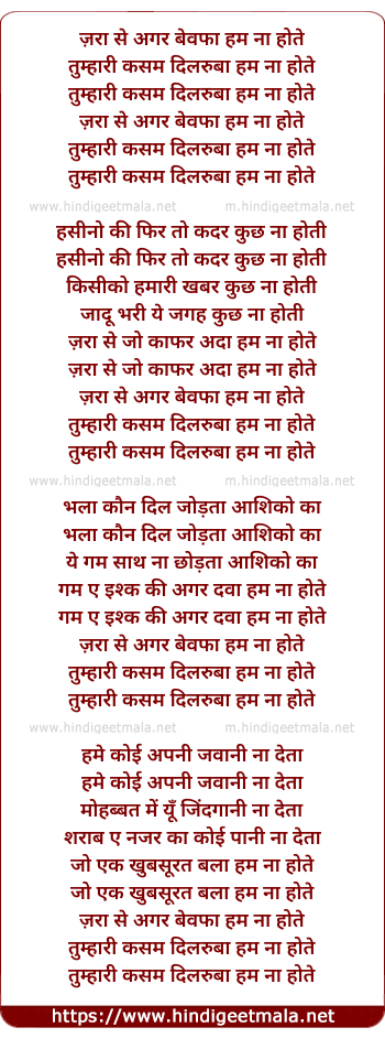 lyrics of song Zara Se Agar Bewafa Hum Na Hote