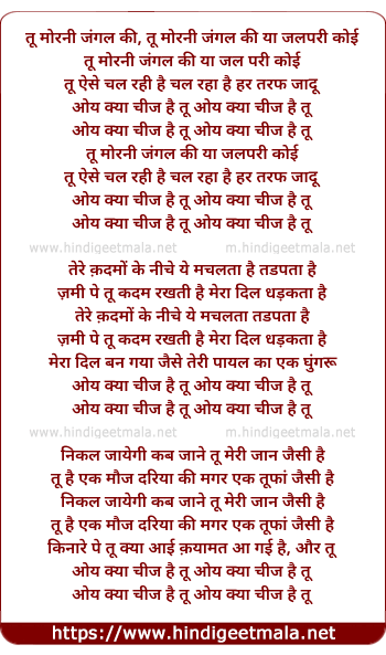 lyrics of song Tu Morni Jungle Ki Ya Jalpari Koi