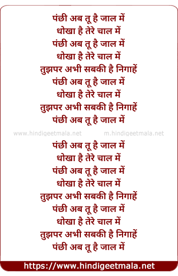 lyrics of song Panchhi Ab Tu Hai Jaal Me