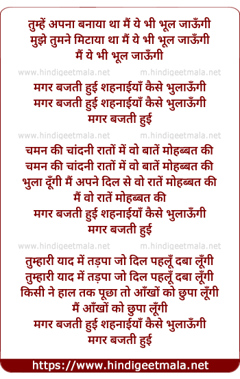 lyrics of song Tumhe Apnaa Banaya Tha