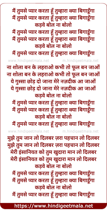 lyrics of song Main Tumse Pyar Karta Hu Tumhara Kya Bigadunga