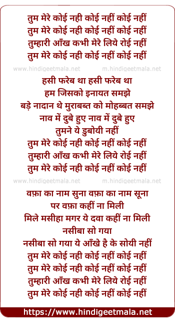 lyrics of song Tum Mere Koi Nahi