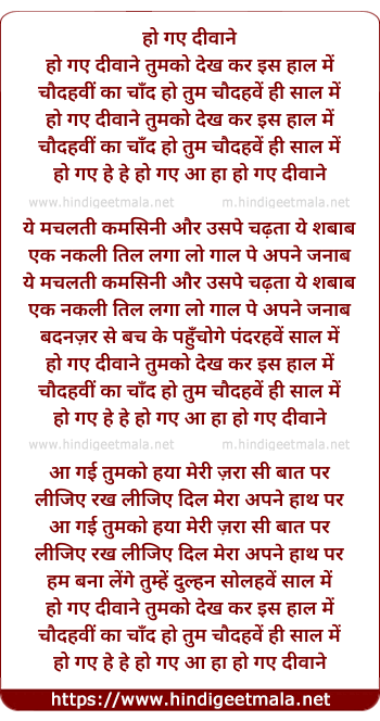 lyrics of song Ho Gaye Deewane Tumko Dekh Kar Is Haal