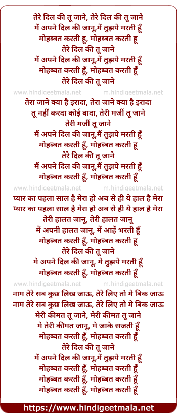 lyrics of song Tere Dil Ki Tu Jaane