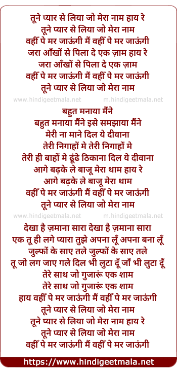 lyrics of song Tune Pyar Se Liya Jo Mera Naam