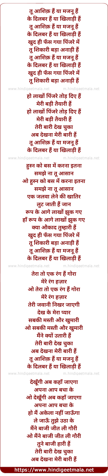 lyrics of song Tu Ashiq Hai Ya Majnu Hai