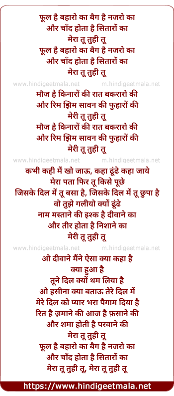 lyrics of song Phul Hai Baharo Ka Bag Hai Najaro Ka