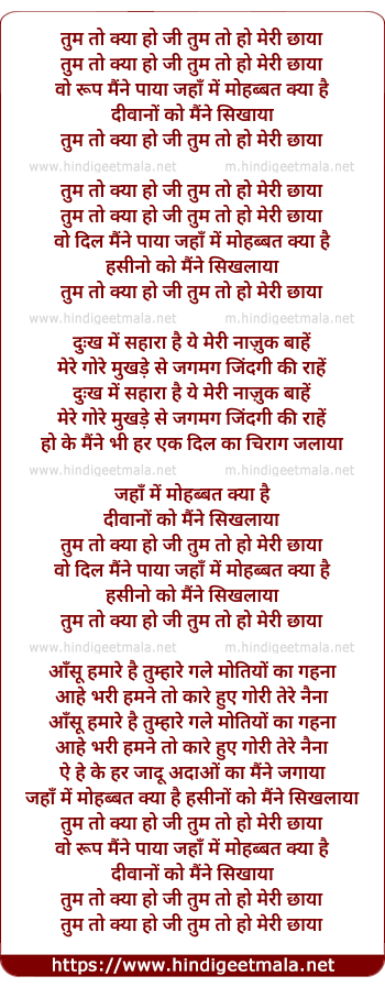 lyrics of song Tum To Kya Ho Ji Tum To Ho Meri Chhaya