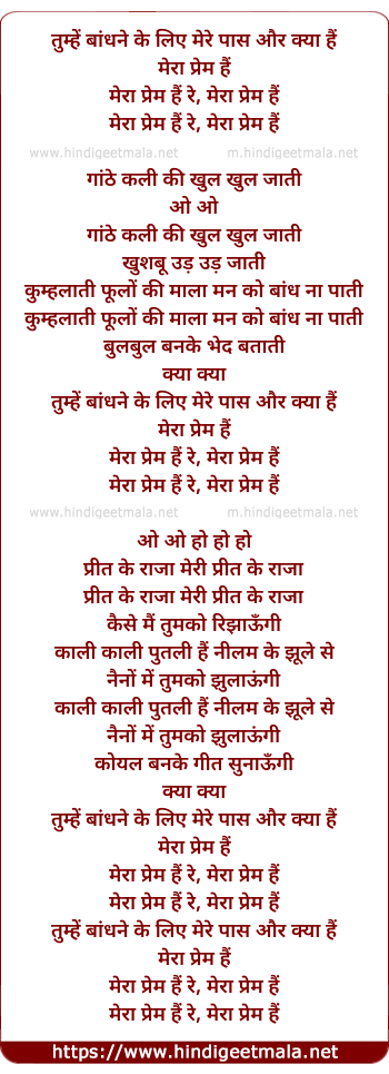 lyrics of song Tumhe Bandhne Ke Liye Mere Paas Aur Kya Hai