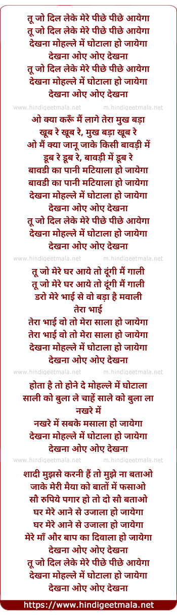 lyrics of song Tu Jo Dil Leke Mere Piche Aayega