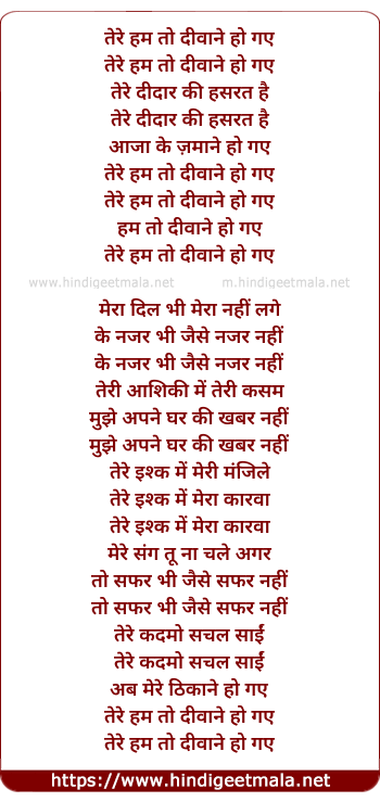 lyrics of song Tere Hum To Diwane Ho Gaye