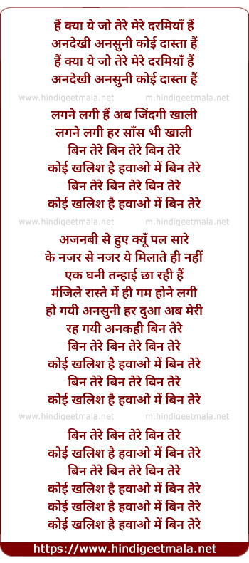 lyrics of song Bin Tere (Remix)