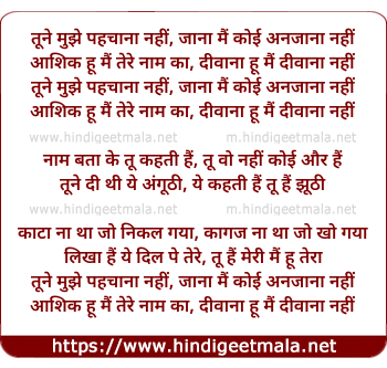 lyrics of song Tune Mujhe Pehchana Nahi