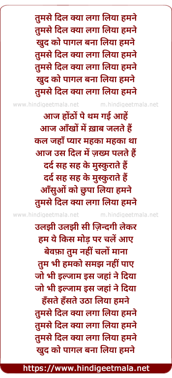 lyrics of song Tumse Dil Kya Laga Liya Humne (2)