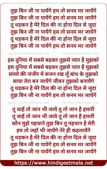 lyrics of song Tujh Bin Ji Na Payenge Hum To Sanam Mar Jayenge
