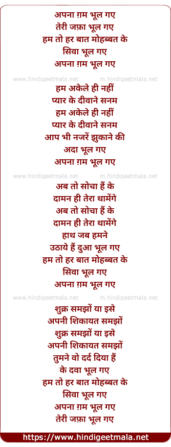 lyrics of song Apna Gham Bhool Gaye