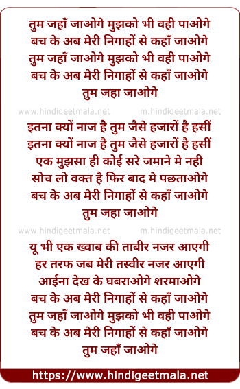 lyrics of song Tum Jaha Jaoge Mujhko Bhi Vahi Paoge