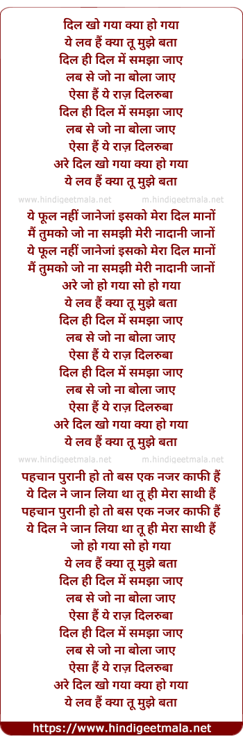 lyrics of song Dil Kho Gaya Kya Ho Gaya