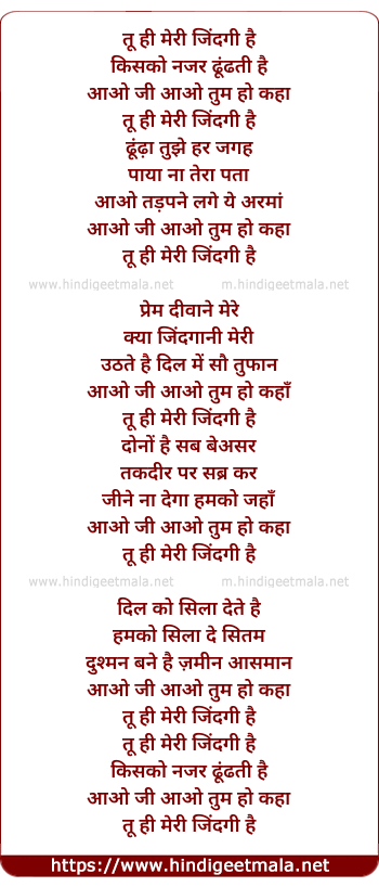 lyrics of song Tu Hi Meri Zindagi Hai