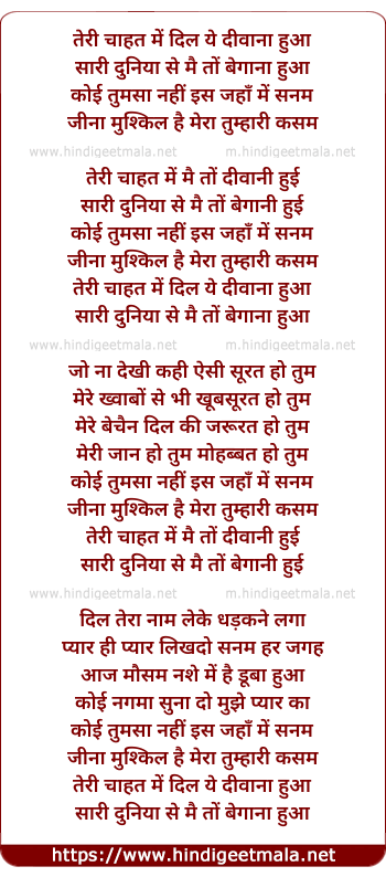 lyrics of song Teri Chahat Me Dil Deewana Hua