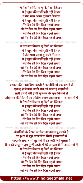 lyrics of song Tera Mera Milna (Remix)