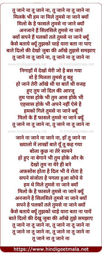 lyrics of song Tu Jaane Na Tu Jaane (Remix)