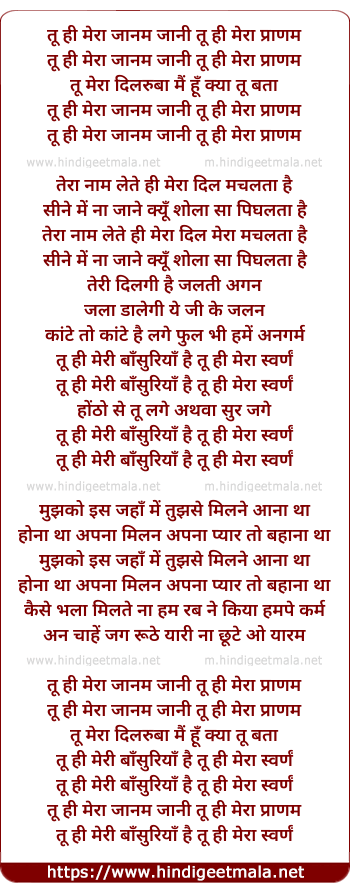 lyrics of song Tu Hi Mera Jaanam