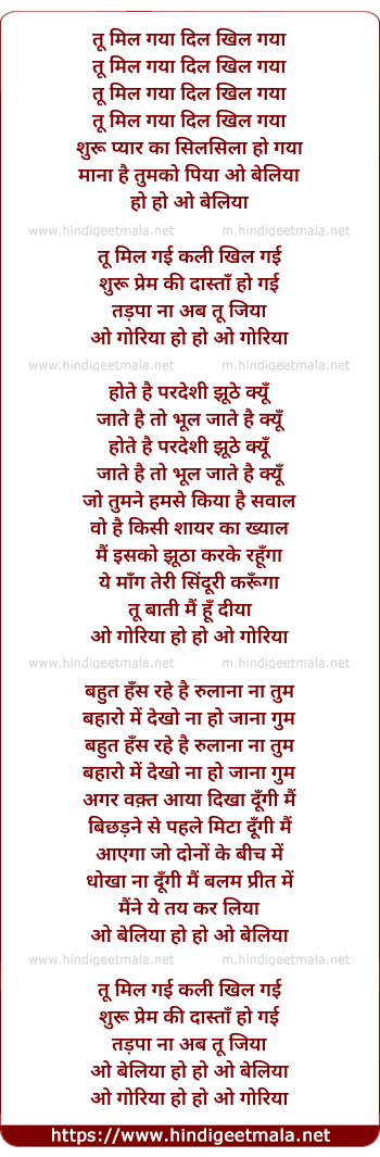 lyrics of song Tu Mil Gaya Dil Khil Gaya