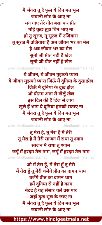 lyrics of song Mai Bhanwra Tu Hai Phool