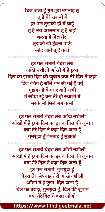 lyrics of song Chehra, Dil Jala Hu Gumshuda Hu Bepanah Tu