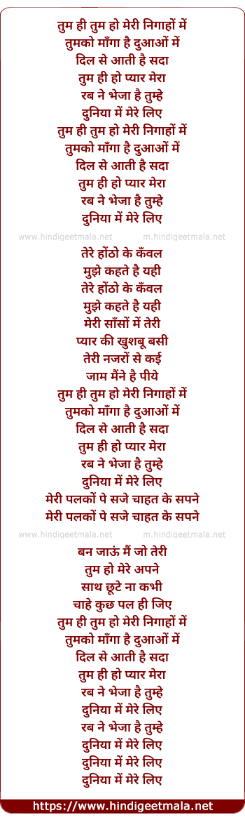 lyrics of song Tum Hi Tum Ho Meri Nighaho Mein