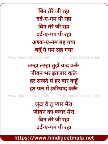 lyrics of song Bin Tere Ji Raha