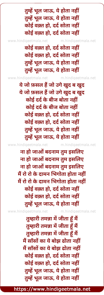 lyrics of song Tumhe Bhool Jau Ye Hota