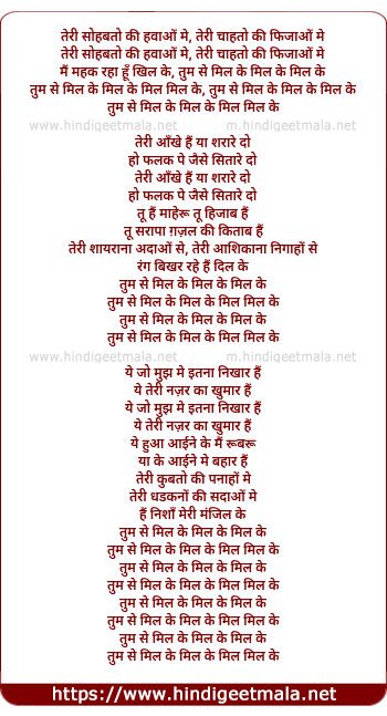 lyrics of song Tumse Mil Ke