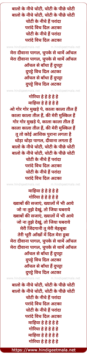 lyrics of song Parande Vich Dil